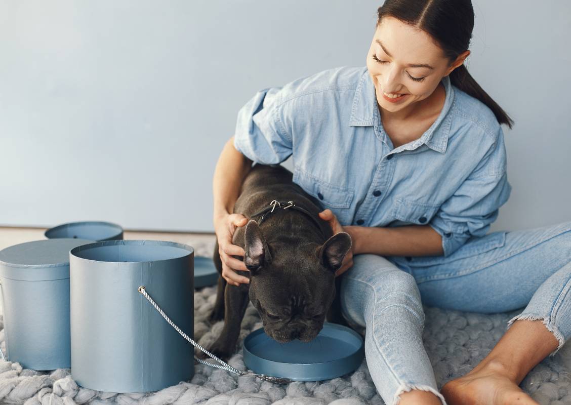 elegant-woman-blue-shirt-with-black-bulldog-min elegant-woman-blue-shirt-with-black-bulldog-min
